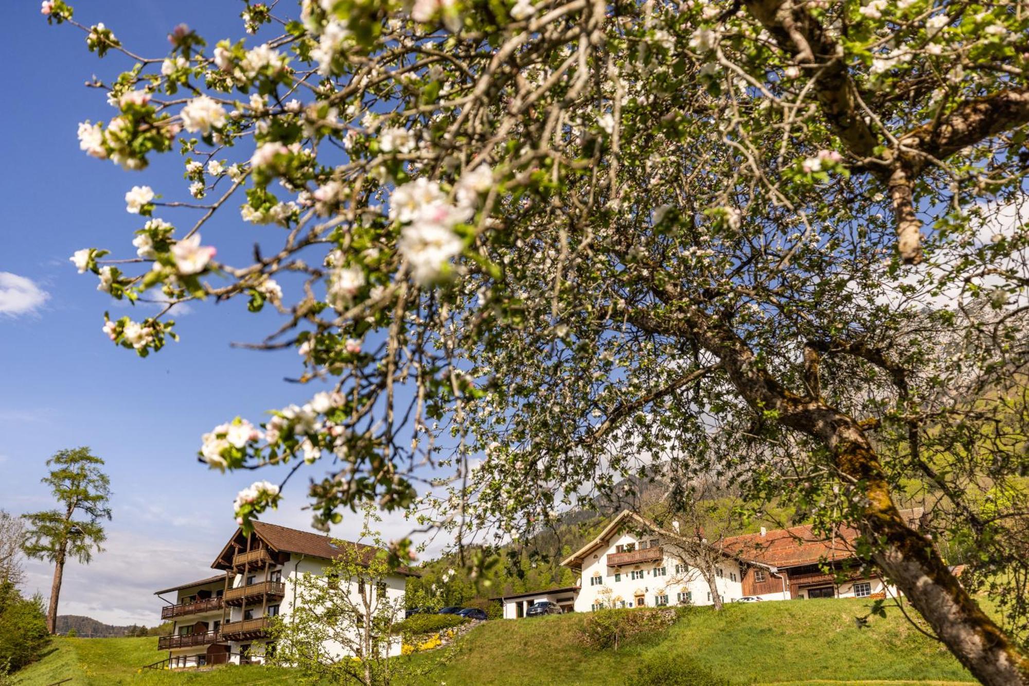 Ferienwohnungen Am Gablerhof Bad Reichenhall Exterior foto